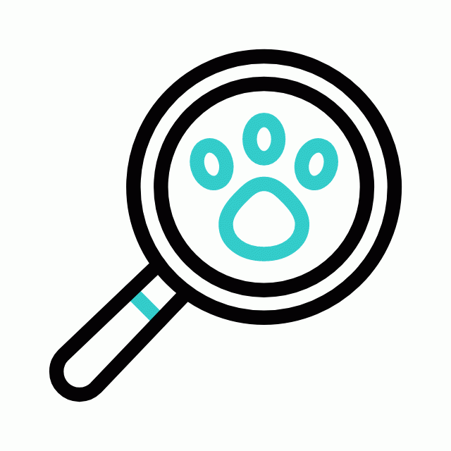 Preloader icon